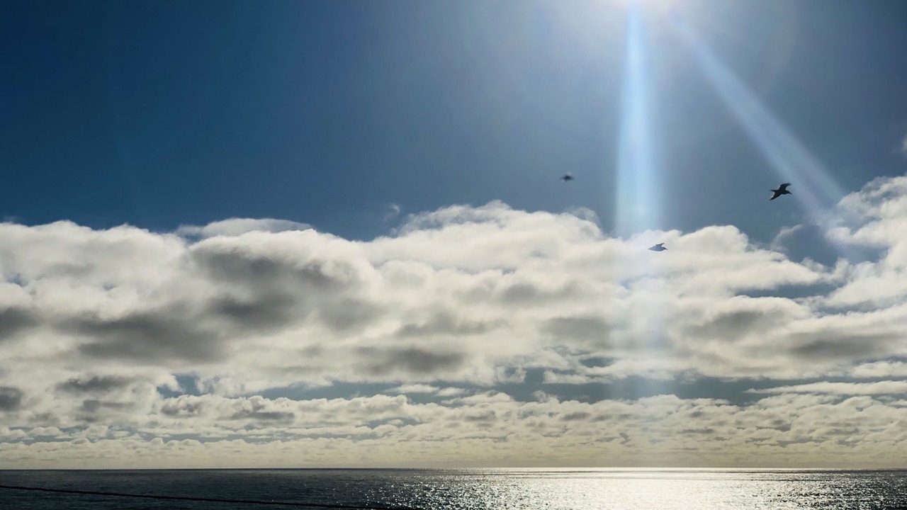 Photo of Others in Lincoln City