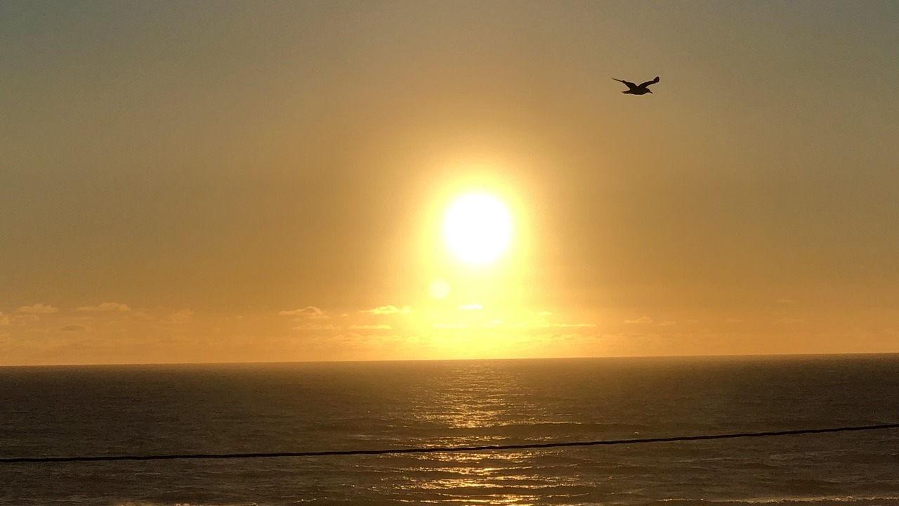 Photo of Others in Lincoln City