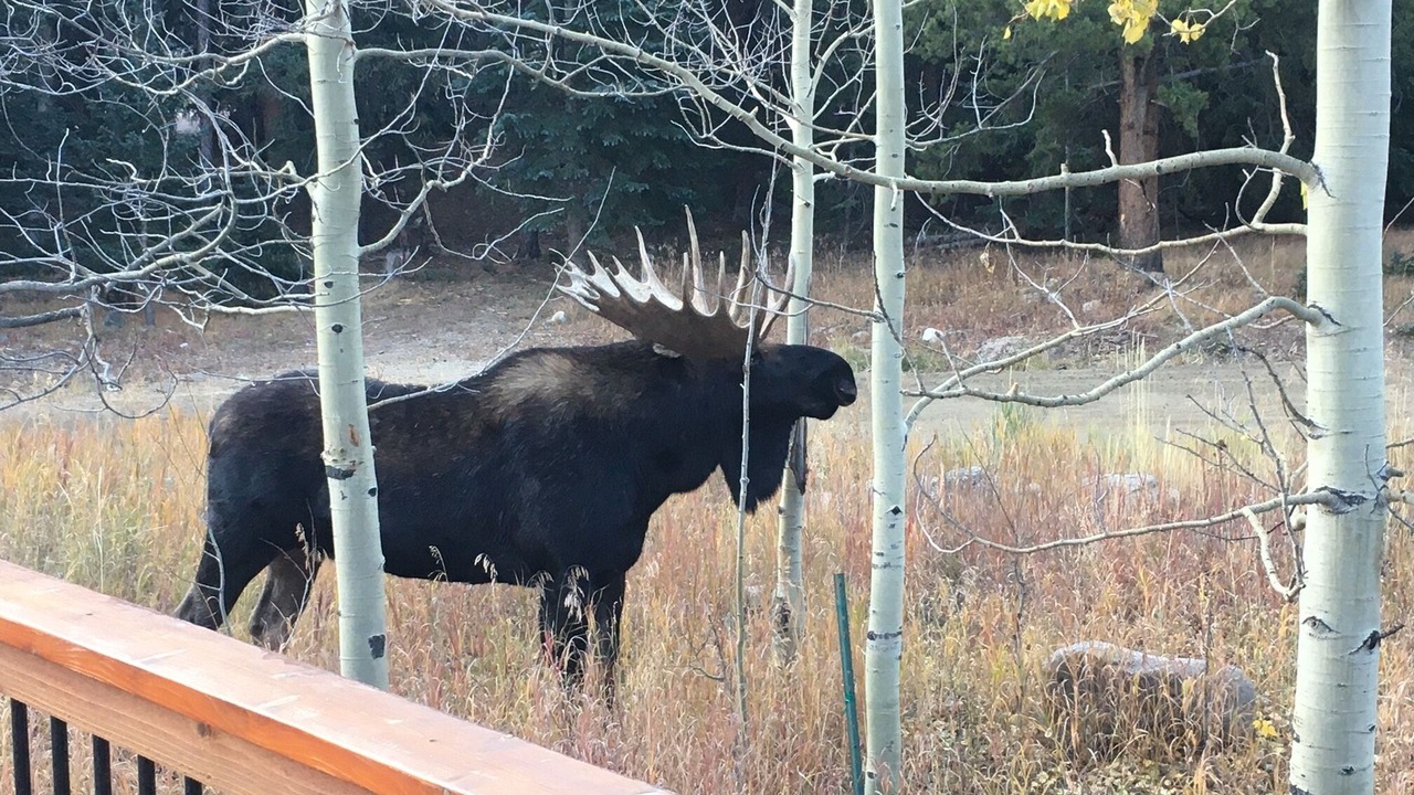Photo of Others in Blue River