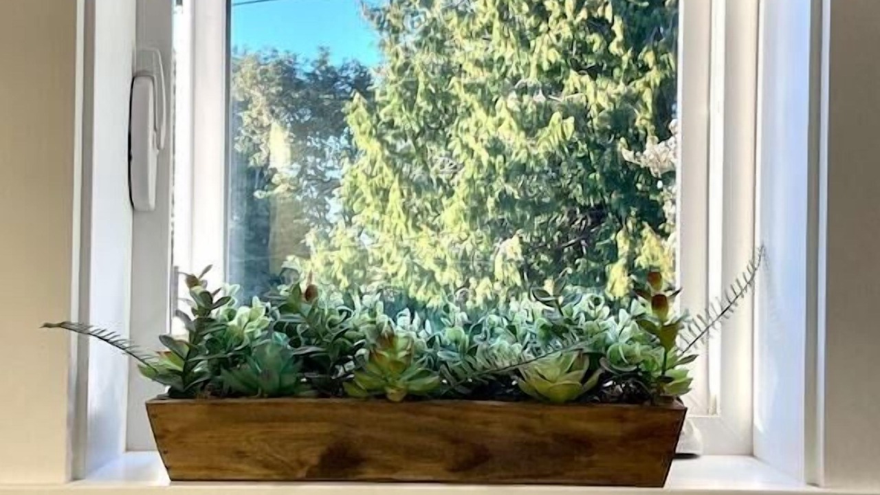 Photo of Others in The Bowl of Edmonds