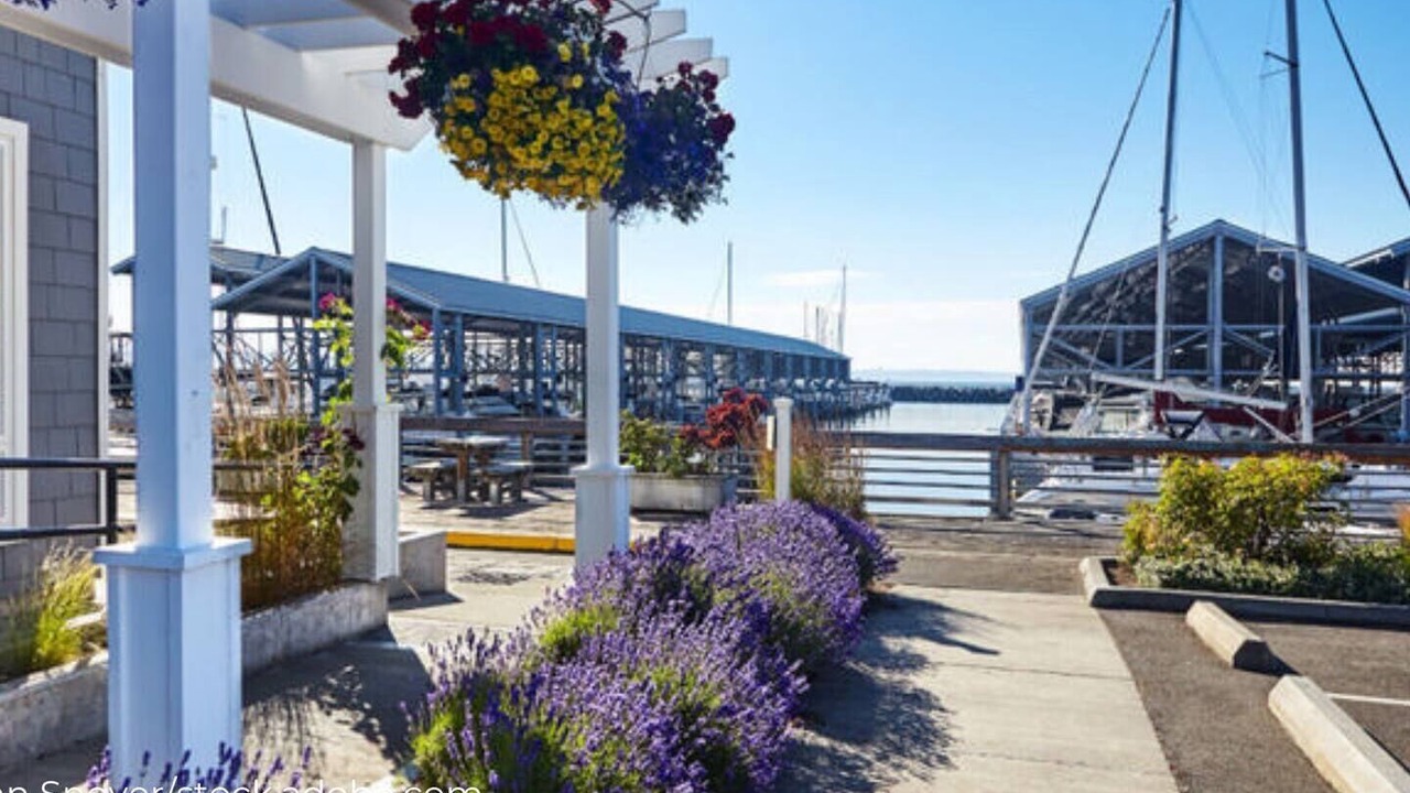 Photo of Others in The Bowl of Edmonds