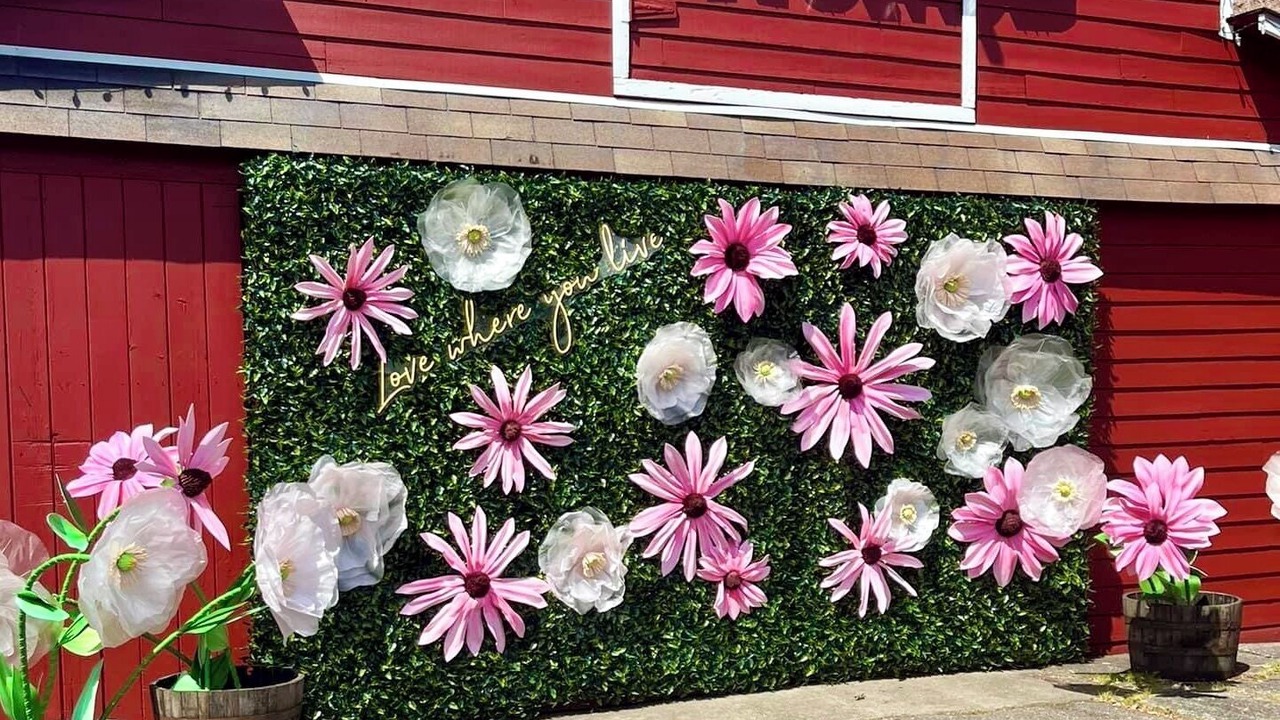Photo of Outdoor in The Bowl of Edmonds