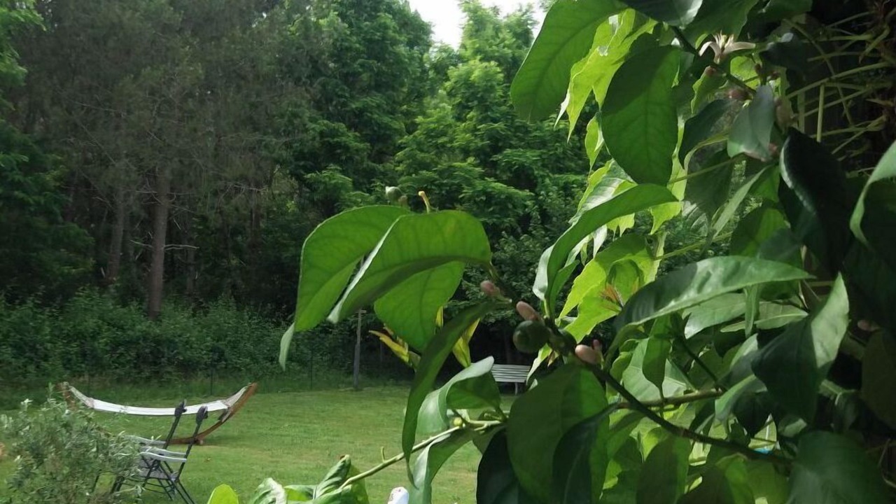 Photo of Outdoor in Bourriot-Bergonce