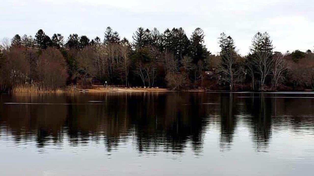 Photo of Others in Marstons Mills