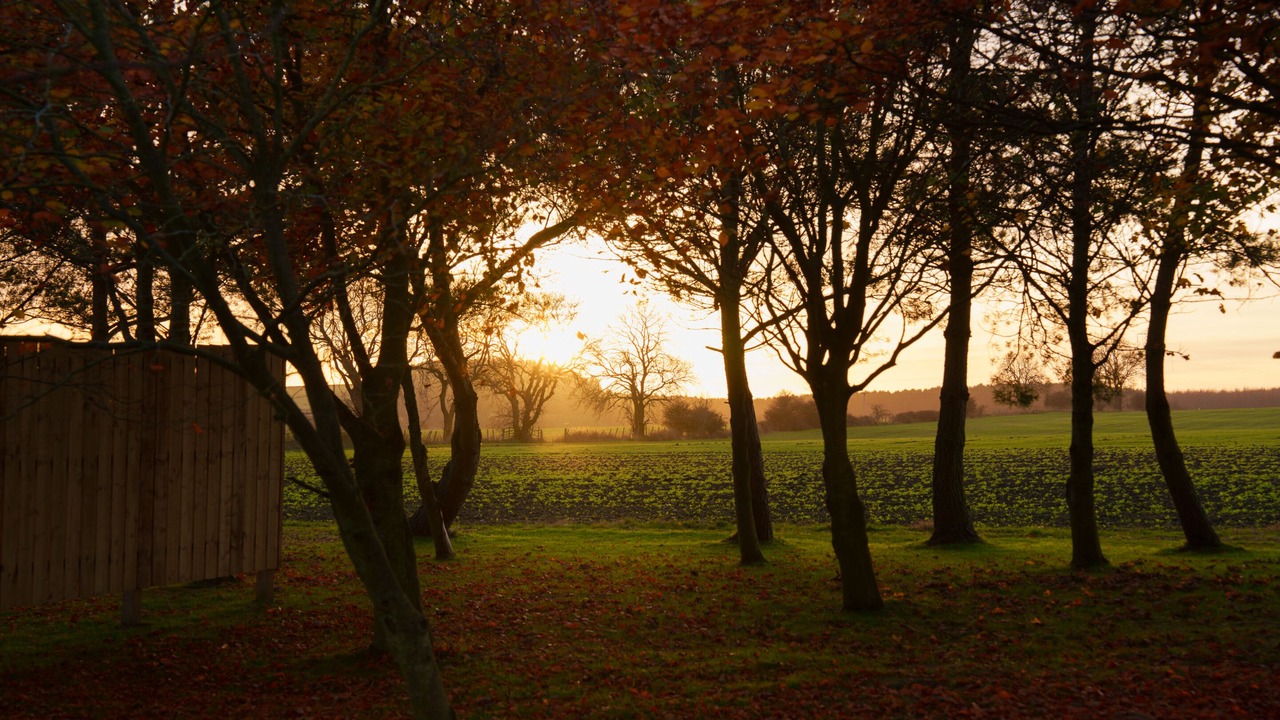 Photo of Outdoor in Wall Houses