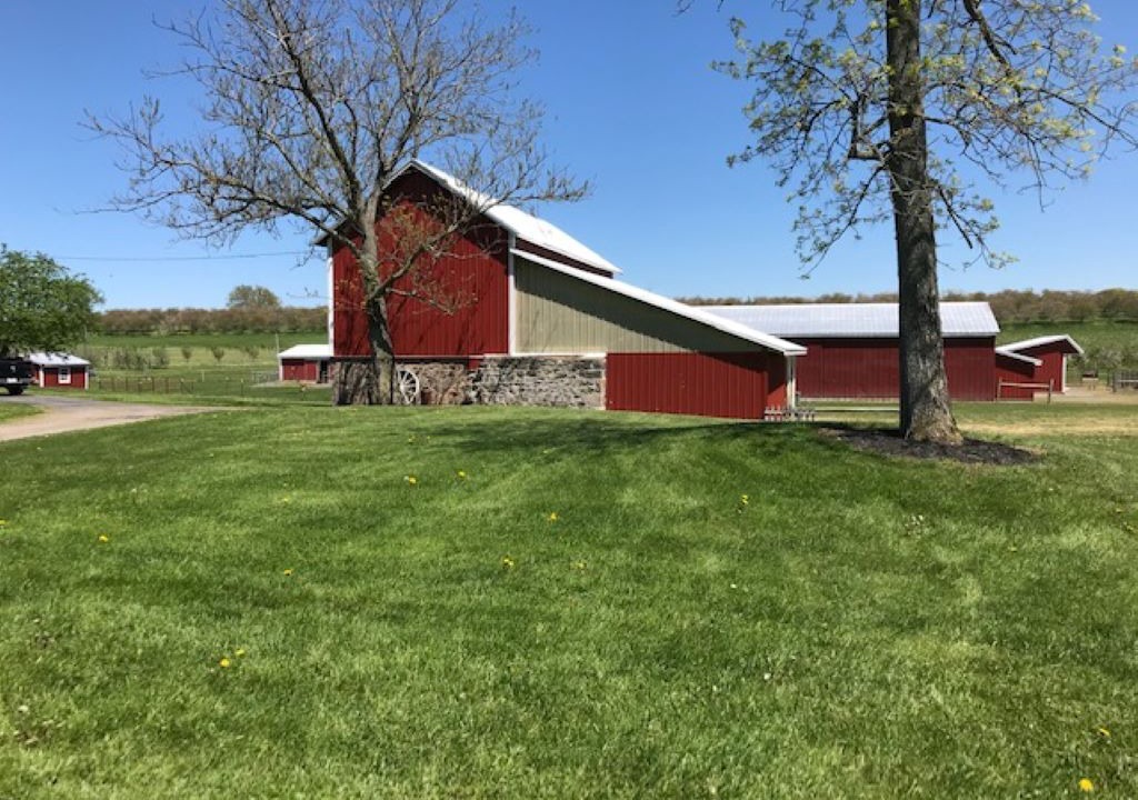 Photo of Outdoor in Sodus