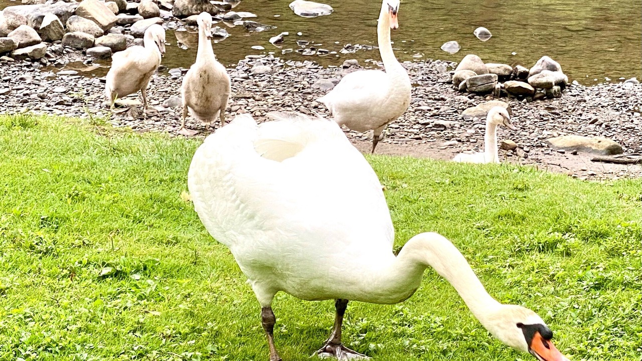 Photo of Others in Warren