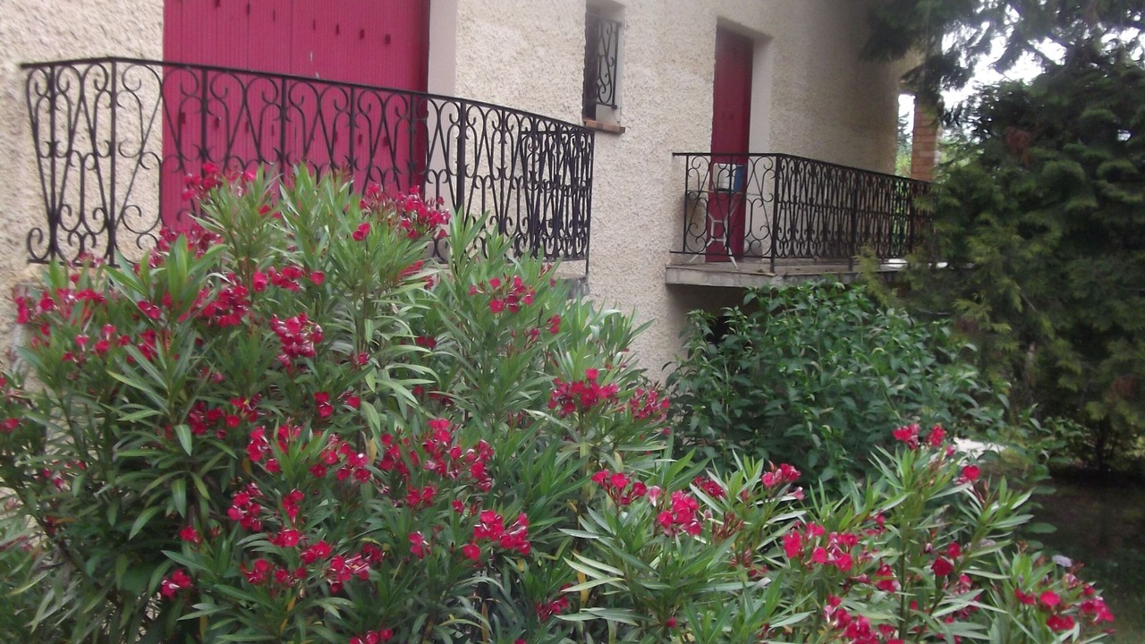 Photo of Outdoor in Vernet-les-Bains