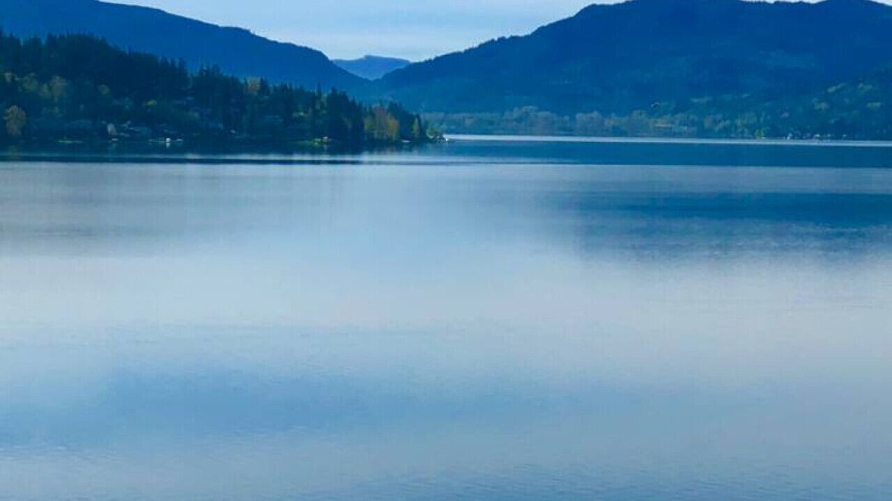 Photo of Others in Northeast Bellevue