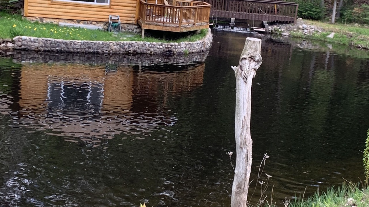 Photo of Outdoor in Black River