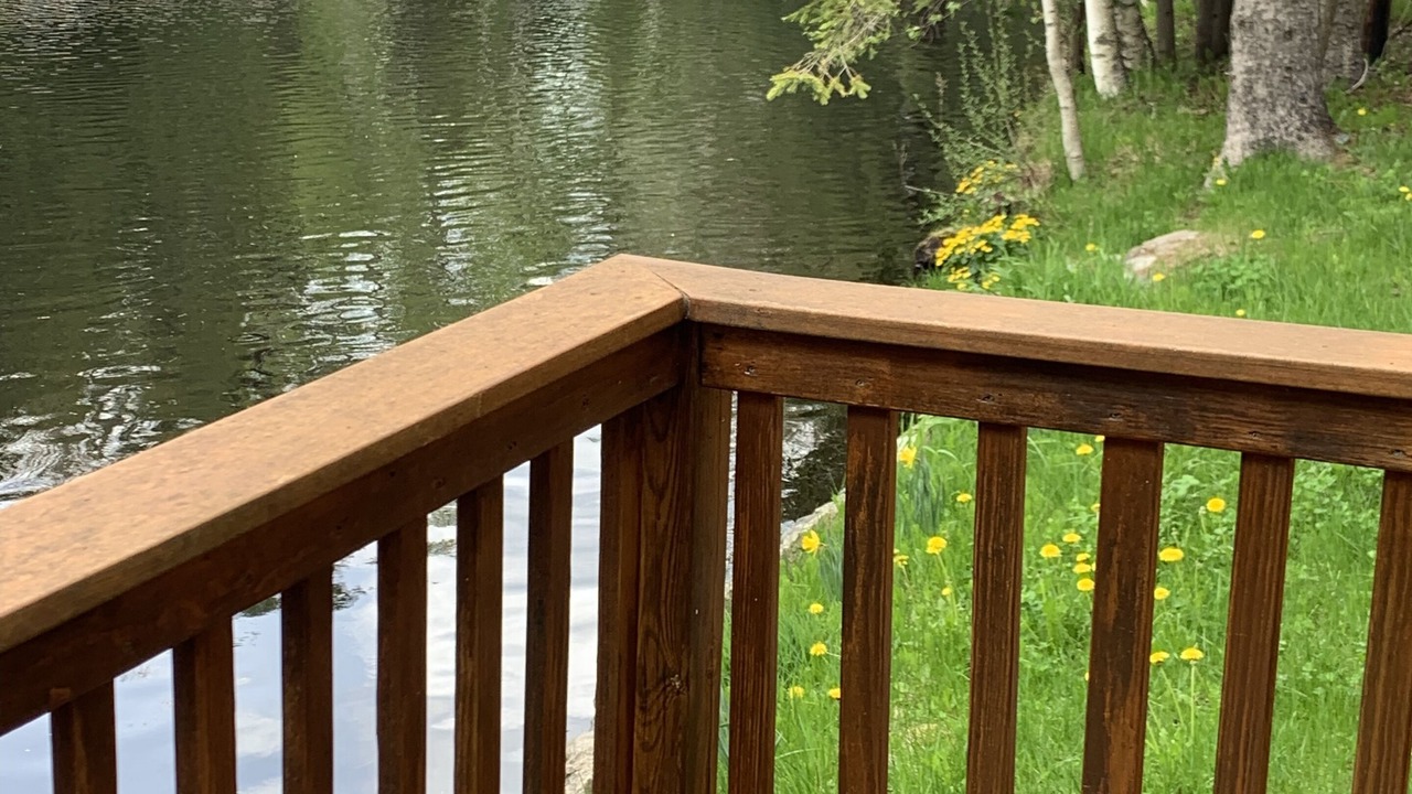 Photo of Outdoor in Black River