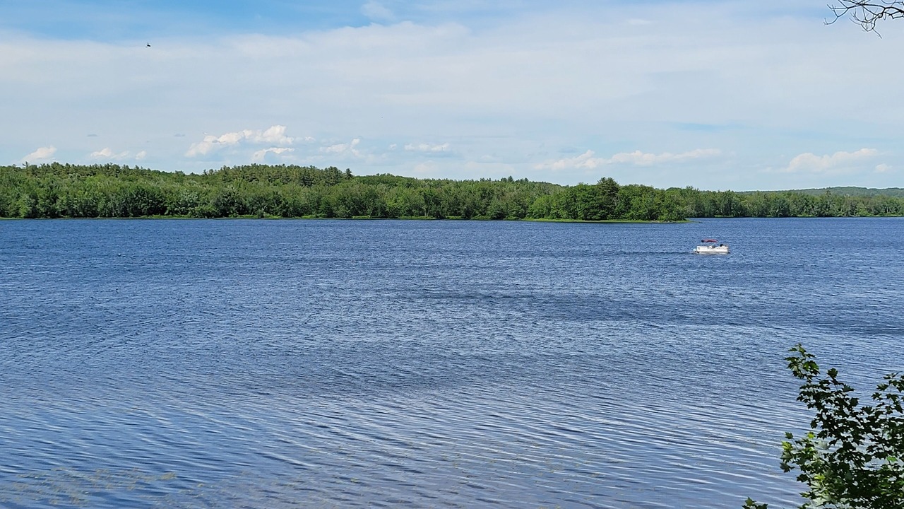 Photo of Others in Bangor