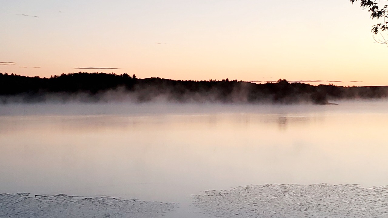 Photo of Others in Bangor
