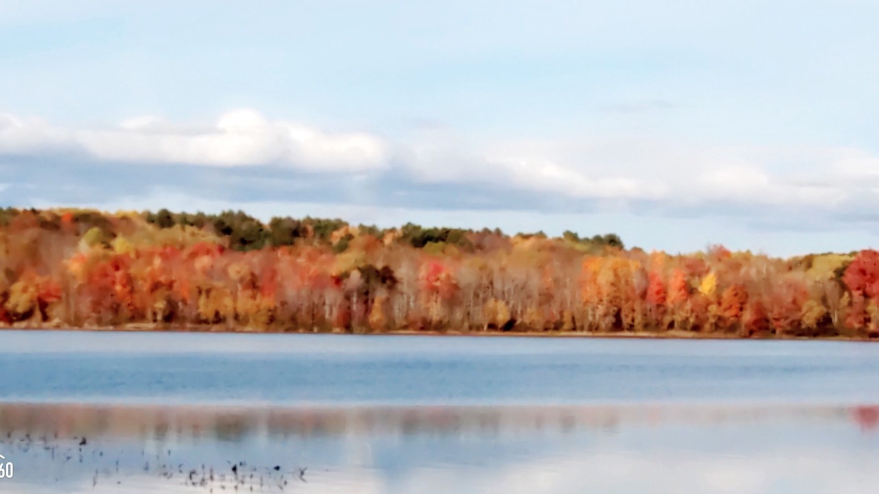 Photo of Others in Bangor