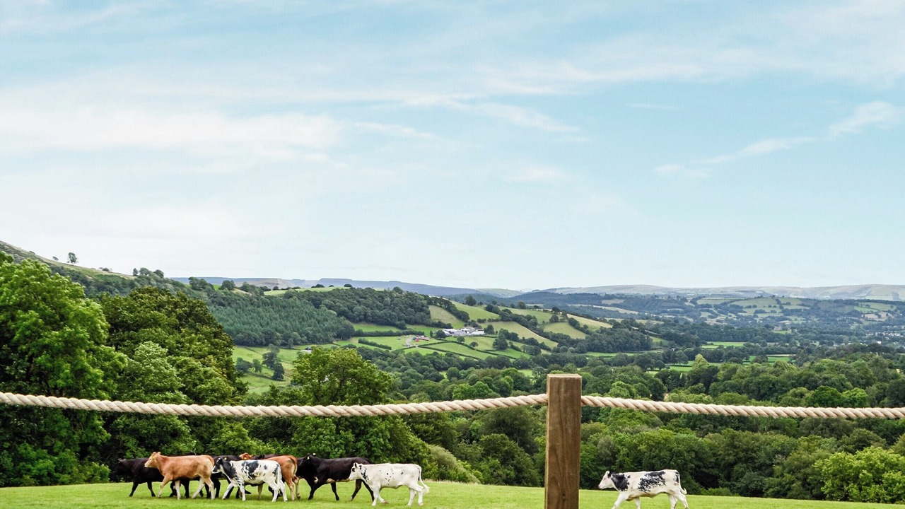 Photo of Others in Llandovery