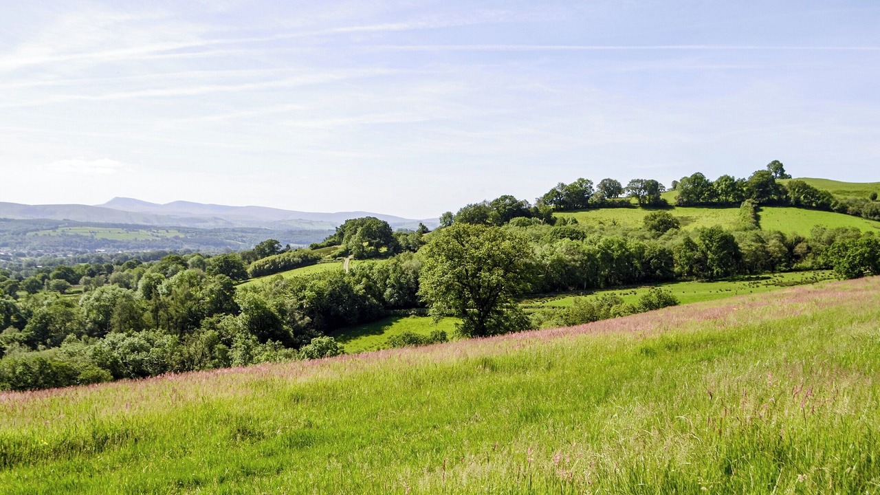Photo of Others in Llandovery