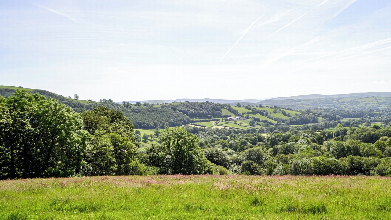 Photo of Others in Llandovery