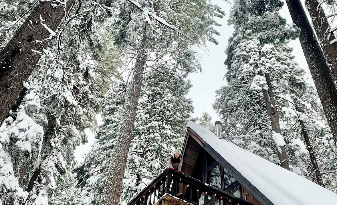 Photo of Others in Camp Connell