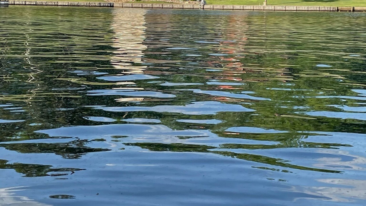 Photo of Outdoor in Lake Secession