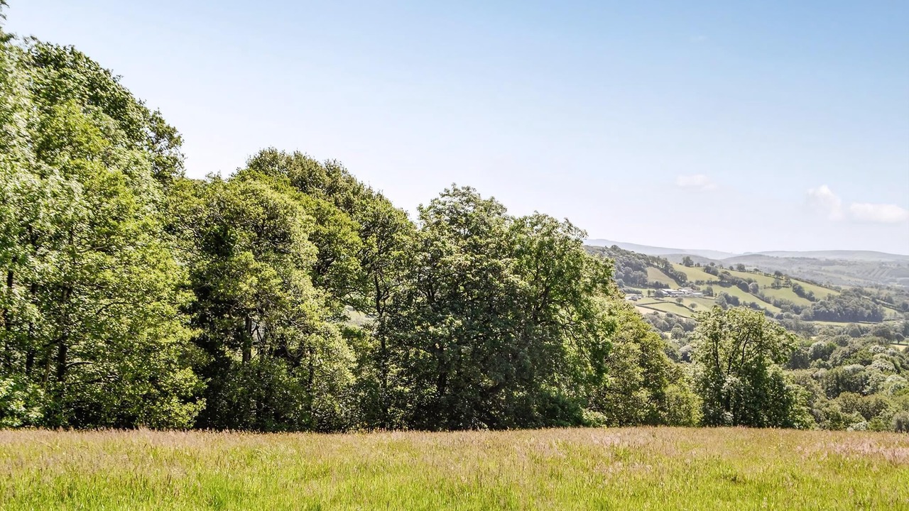 Photo of Others in Llandovery