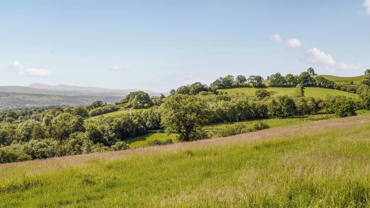 Photo of Others in Llandovery