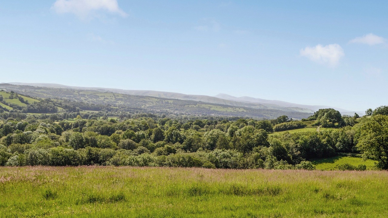 Photo of Others in Llandovery