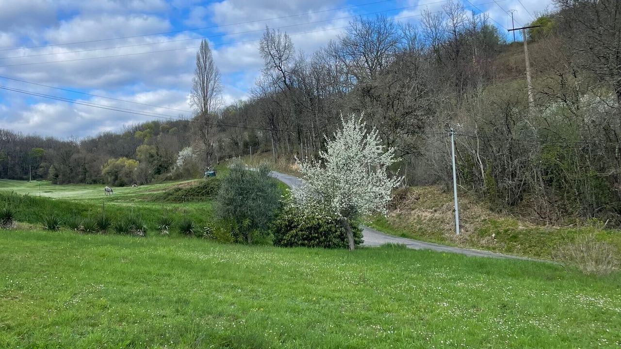 Photo of Others in Fauroux