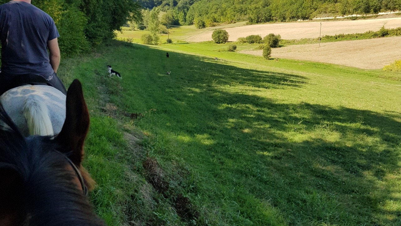 Photo of Others in Fauroux