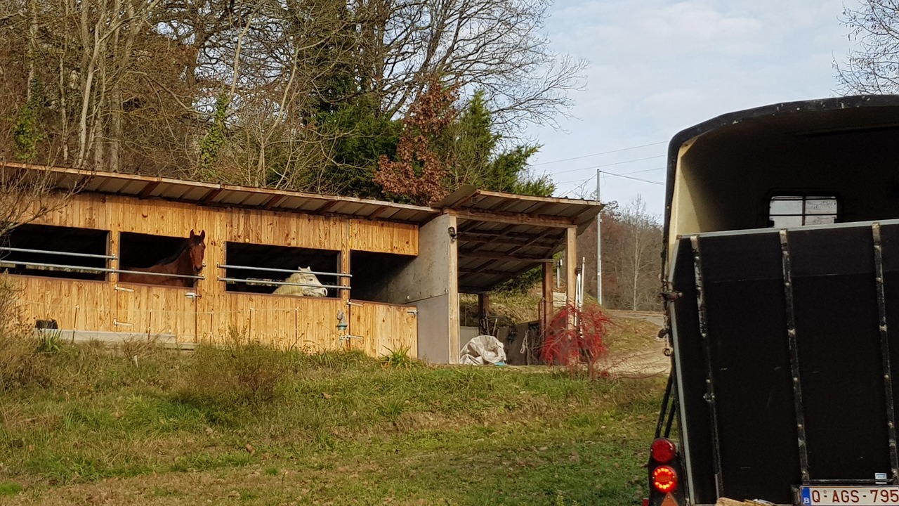 Photo of Outdoor in Fauroux