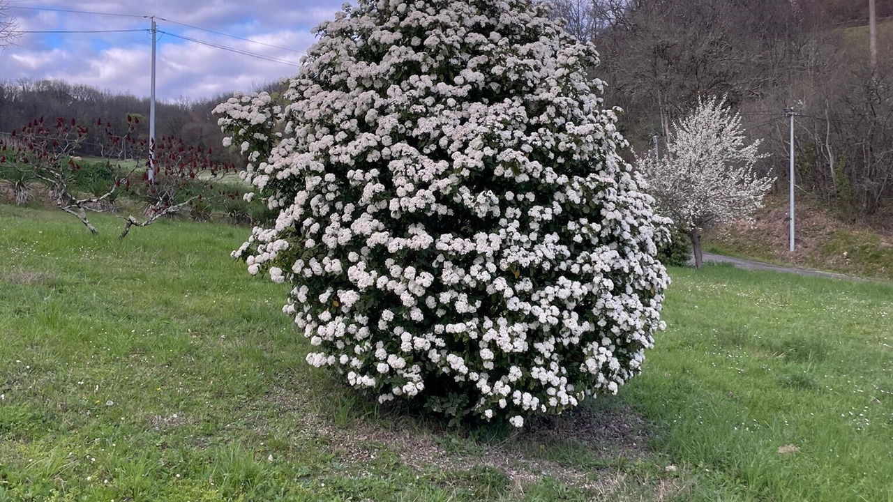 Photo of Outdoor in Fauroux