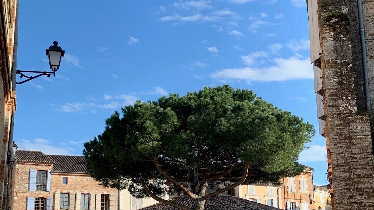 Photo of Others in Fauroux