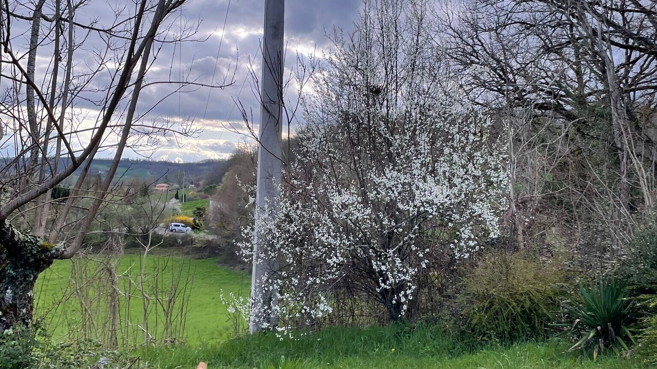 Photo of Outdoor in Fauroux