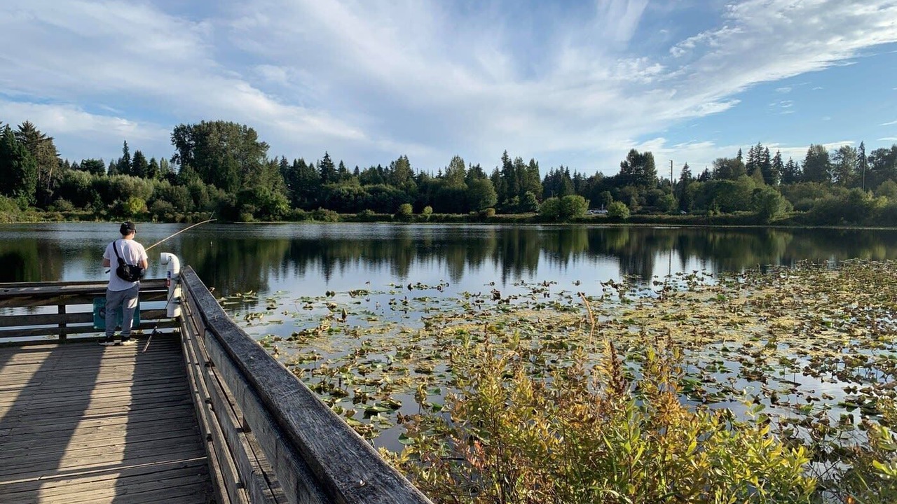 Photo of Outdoor in Bridle Trails