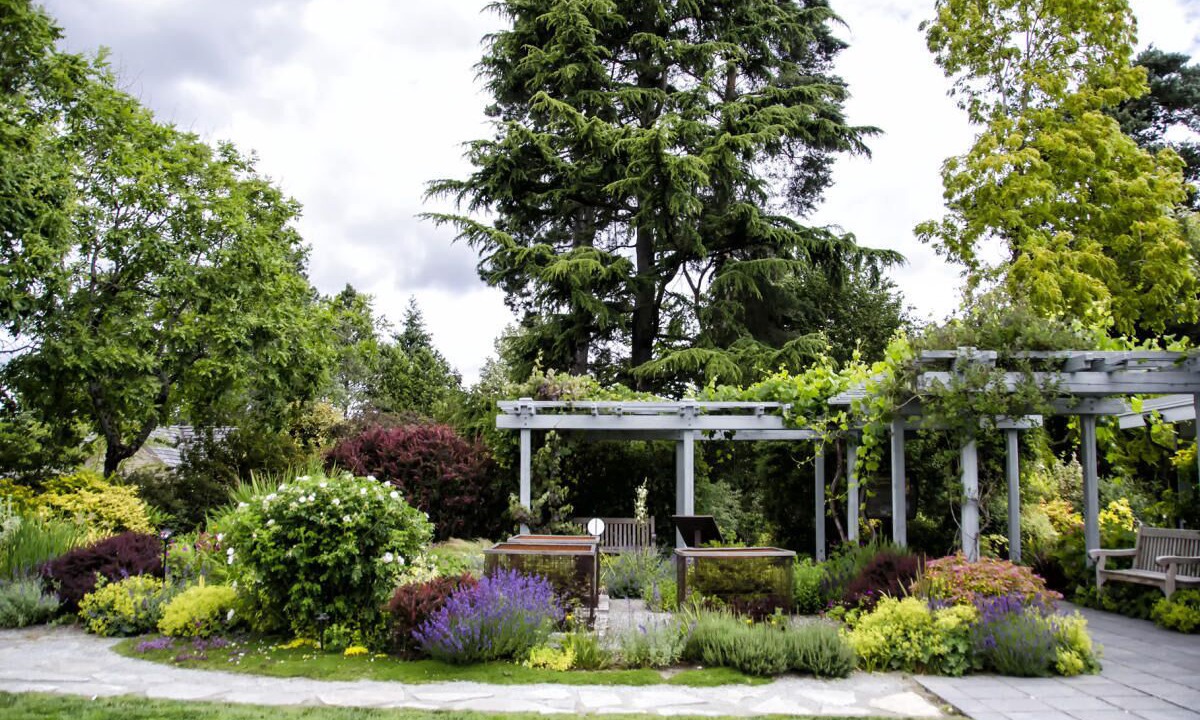 Photo of Outdoor in Bridle Trails