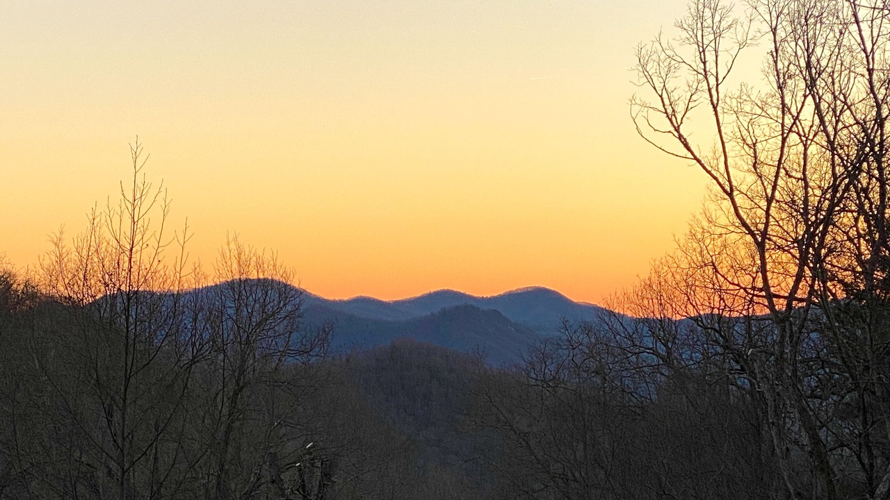 Photo of Others in Dillard