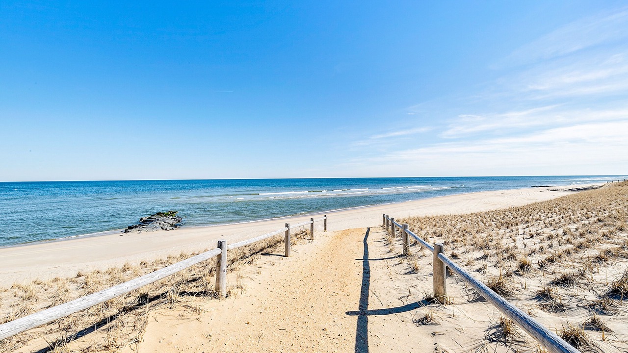 Photo of Others in Harvey Cedars