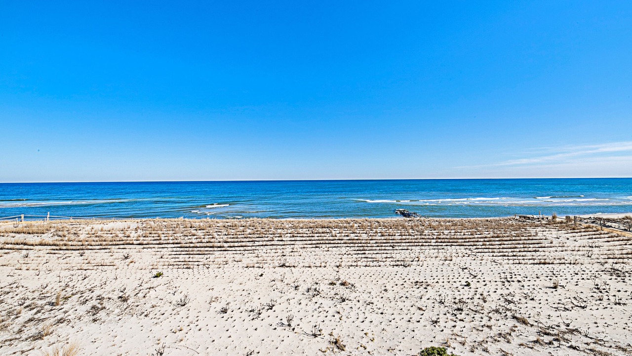 Photo of Others in Harvey Cedars