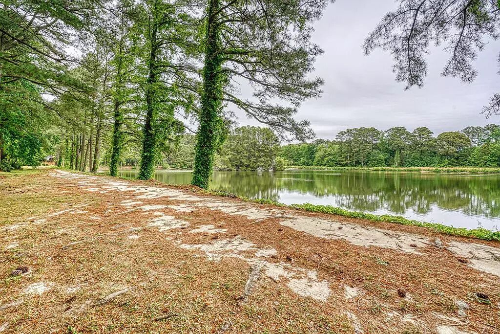 Photo of Outdoor in Locustville