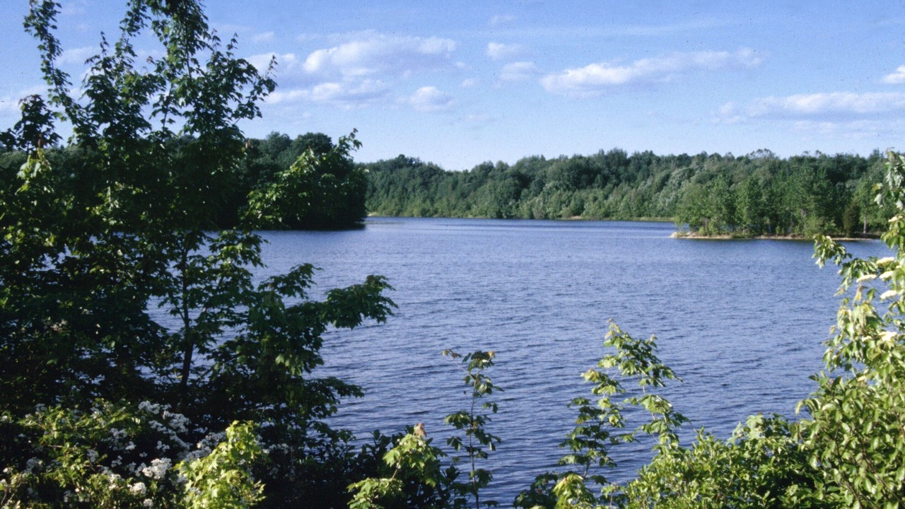 Photo of Others in Plainsboro