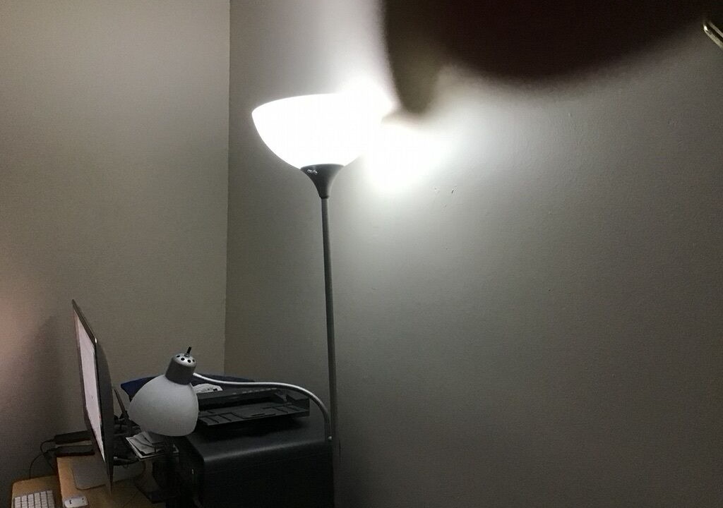 Photo of Others in Plainsboro