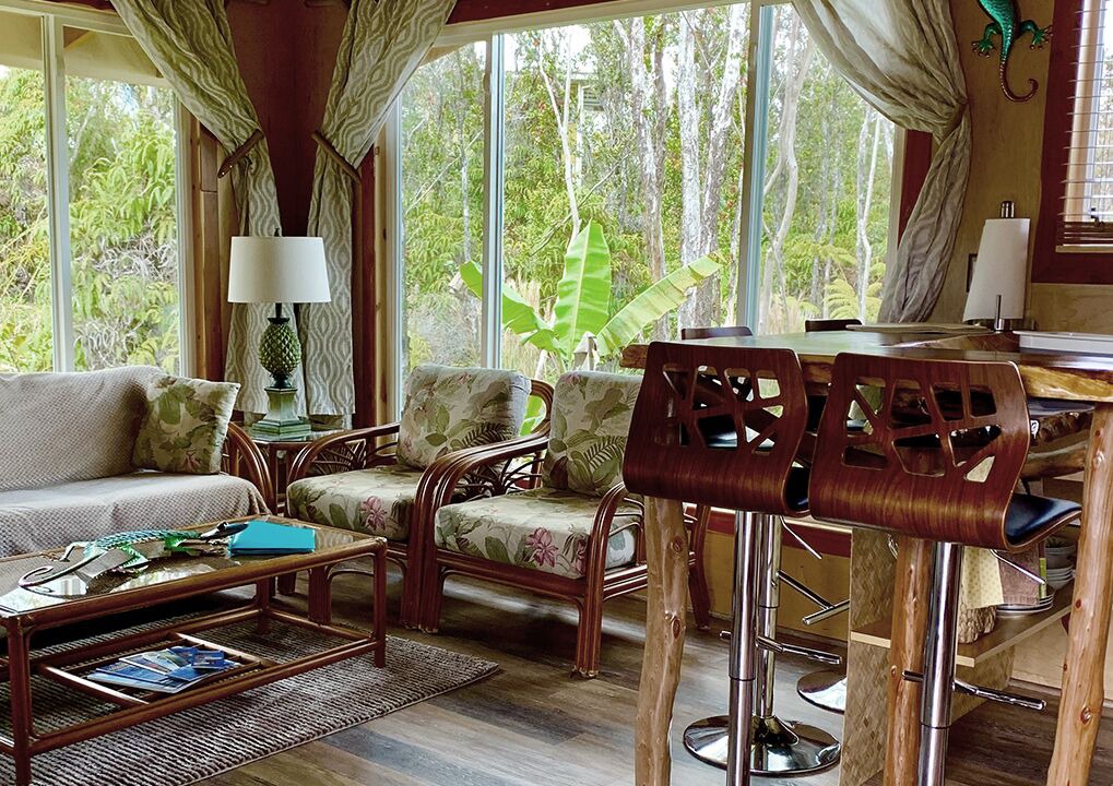 Photo of Others in Fern Forest