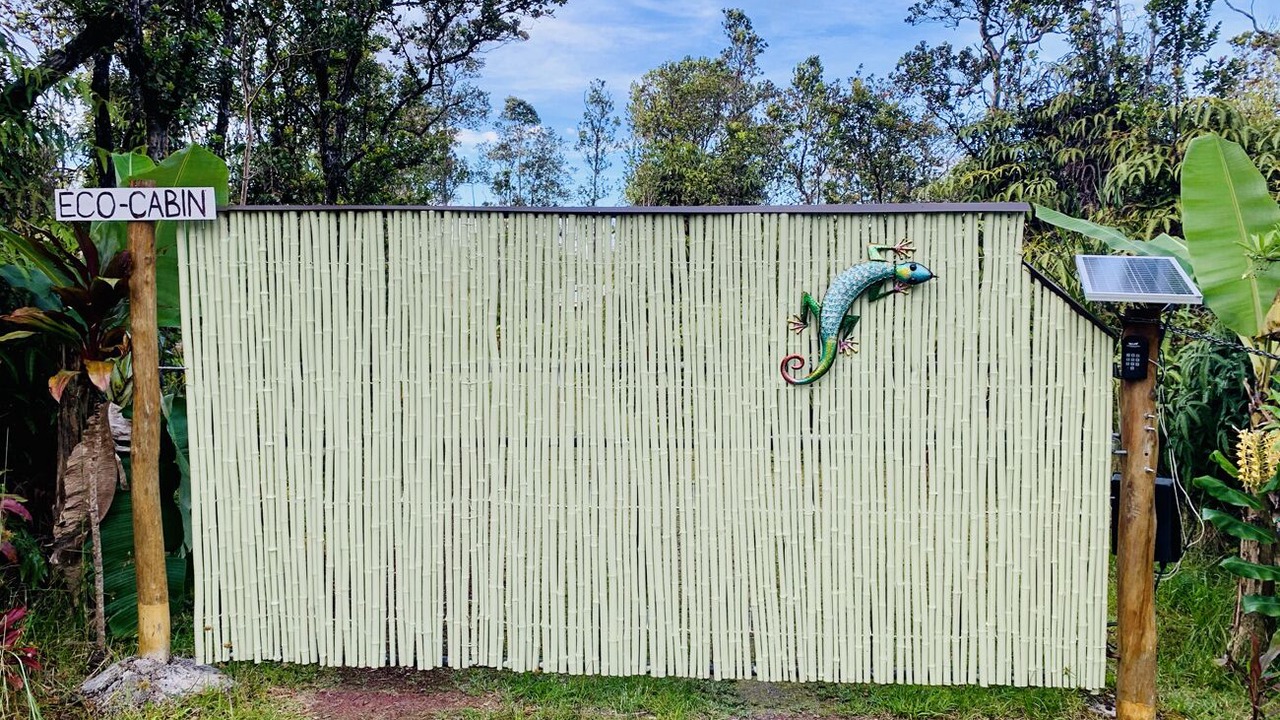 Photo of Outdoor in Fern Forest