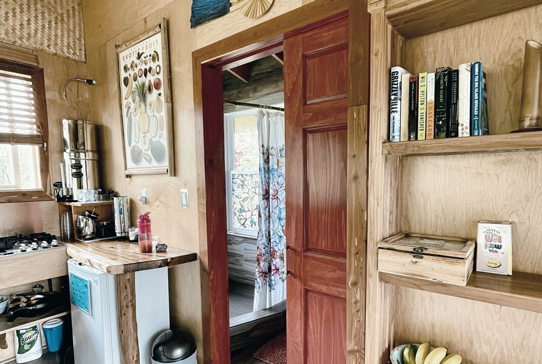 Photo of Others in Fern Forest