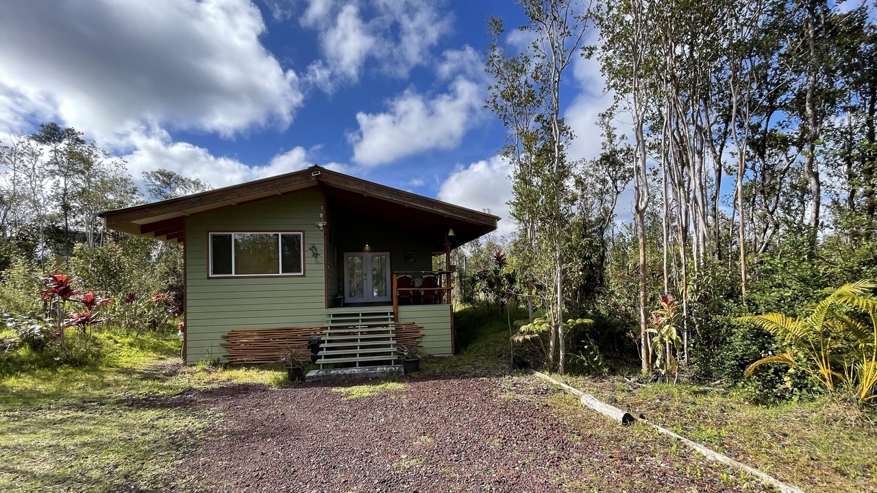 Photo of Outdoor in Fern Forest
