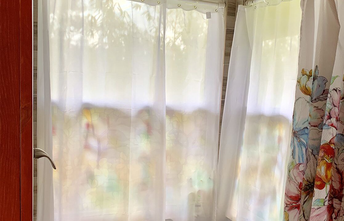 Photo of Others in Fern Forest