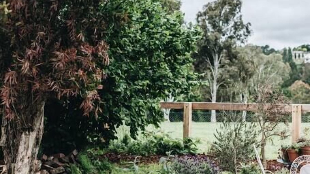 Photo of Outdoor in Moss Vale