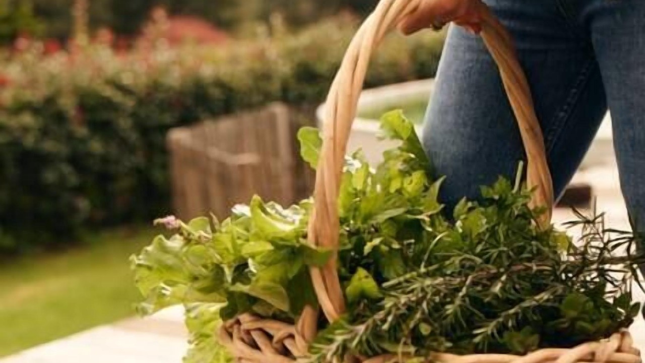 Photo of Outdoor in Moss Vale