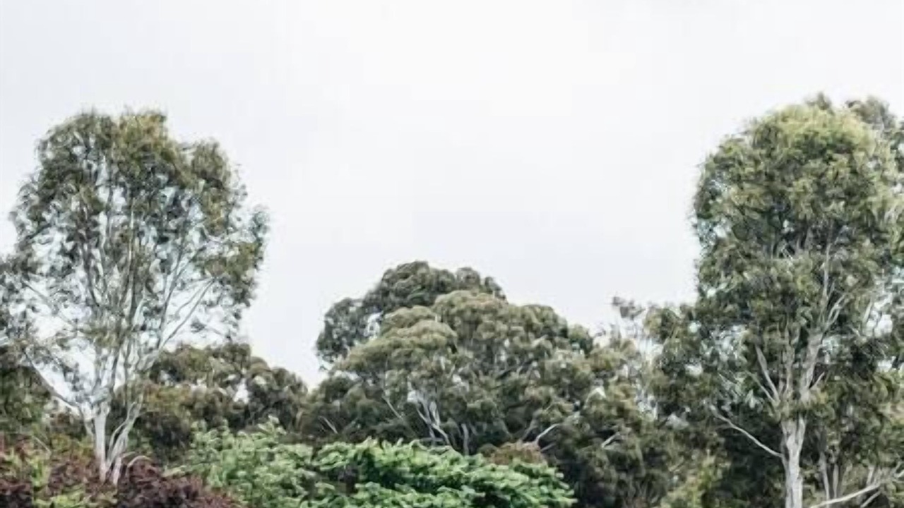 Photo of Others in Moss Vale