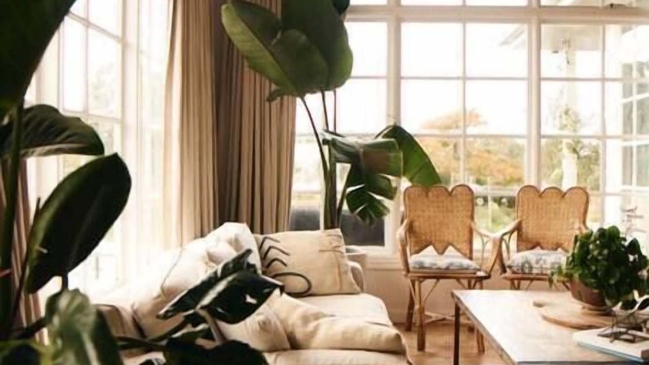 Photo of Others in Moss Vale