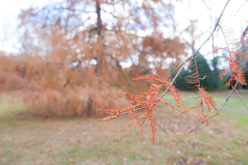 Photo of Others in Moss Vale